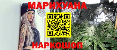 крисы Брянск