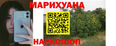 крисы Брянск