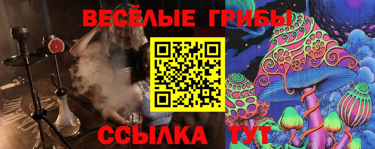 Псилоцибиновые грибы GOLDEN TEACHER  Галлюциногенные грибы Psilocybine cubensis  Вход с VPN  Новоуральск 